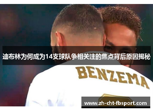 迪布林为何成为14支球队争相关注的焦点背后原因揭秘 迪布林为何成为14支球队争相关注的焦点背后原因揭秘