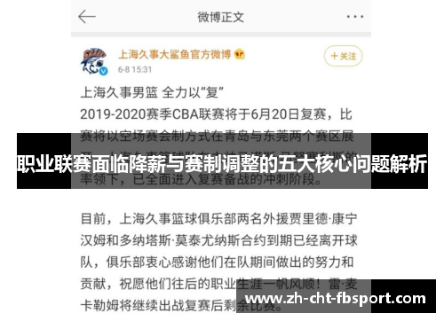 职业联赛面临降薪与赛制调整的五大核心问题解析